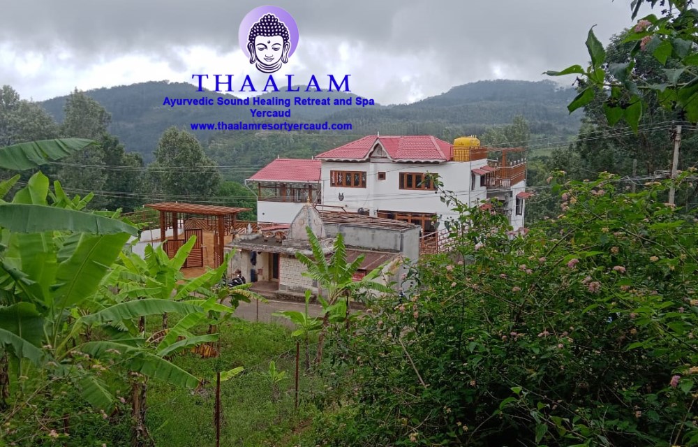 Thaalam ( a sound healing retreat and ayurvedic spa ) About Us